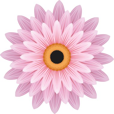 çiçek gerbera