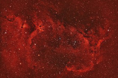 NGC1848 Soul Nebula clipart