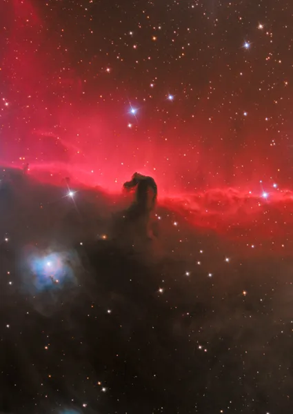 Horsehead νεφέλωμα — Φωτογραφία Αρχείου