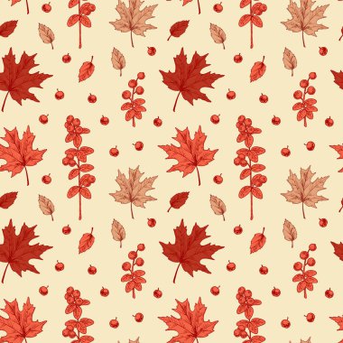 Akçaağaç yaprakları ve böğürtlenlerle renksiz sonbahar deseni. El çizimi vektör illüstrasyonu