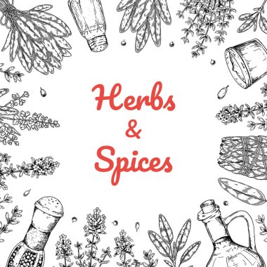 El yapımı otlar ve baharat tasarımı. Robot resim biçiminde vektör illüstrasyonu