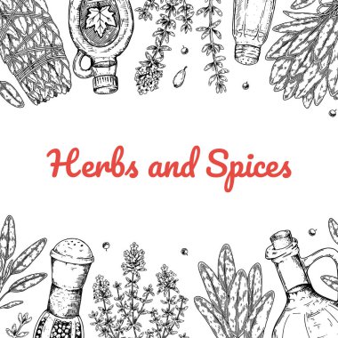El yapımı otlar ve baharat tasarımı. Vektör illüstrasyonu