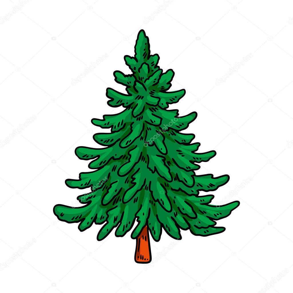 Hand drawn Christmas tree. Vector illustration