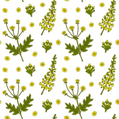 Çayır çiçekleri pürüzsüz desen. El çizimi vektör illüstrasyonu