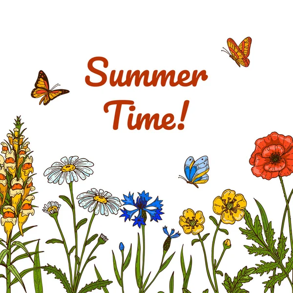 Kelebekli yabani çiçek bitki tasarımı. Renkli el çizimi vektör çizimi. Yaz tasarımı