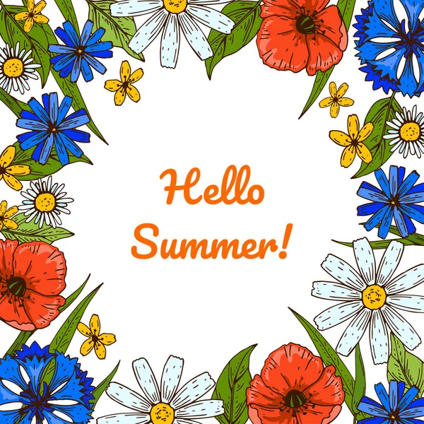 野生花卉植物学框架与罂粟和洋甘菊 色彩艳丽的手绘矢量插图 夏季设计 — 图库矢量图片