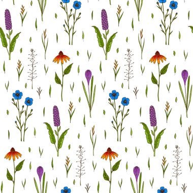 Çayır çiçekleri yaz aylarında pürüzsüz desen oluşturuyor. Renkli el çizimi vektör çizimi. Botanik tasarımı
