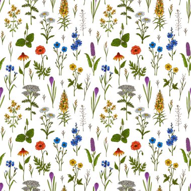 Çayır çiçekleri yaz aylarında pürüzsüz desen oluşturuyor. Renkli el çizimi vektör çizimi. Botanik tasarımı