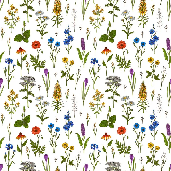 Çayır çiçekleri yaz aylarında pürüzsüz desen oluşturuyor. Renkli el çizimi vektör çizimi. Botanik tasarımı