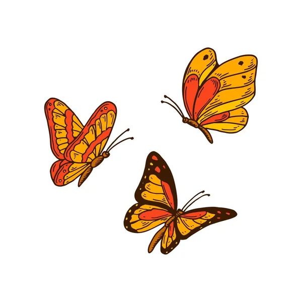 Ensemble Papillons Orange Colorés Dessinés Main Illustration Vectorielle — Image vectorielle