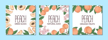 El yapımı şeftali tasarımları. Robot resim biçiminde vektör illüstrasyonu