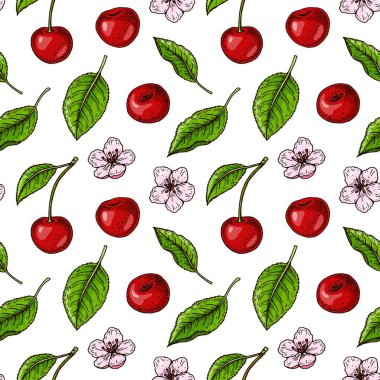 El çizimi, kiraz çilekleri ve çiçeklerle renksiz desen. Renkli çizim tarzında vektör illüstrasyonu