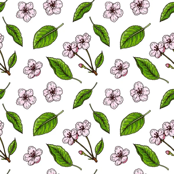 Elle çizilmiş kiraz çiçeği, dikişsiz desen. Renkli çizim tarzında vektör illüstrasyonu