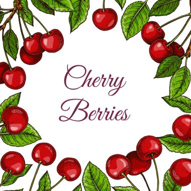 Renkli kare kiraz tasarımı. Renkli çizim tarzında vektör illüstrasyonu