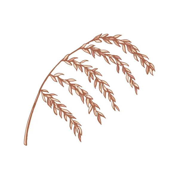 白地に葉を孤立させた手描きの枝 下絵風のベクターイラスト — ストックベクタ