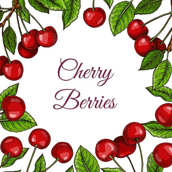 Renkli kare kiraz tasarımı. Renkli çizim tarzında vektör illüstrasyonu