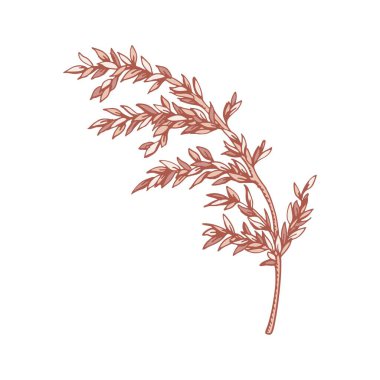 Beyaz yapraklı el yapımı dallar. Robot resim biçiminde vektör illüstrasyonu.