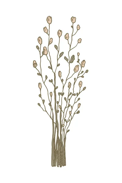 Handritade Gäng Fält Blommor Isolerade Vitt Vektorillustration Skiss Stil — Stock vektor