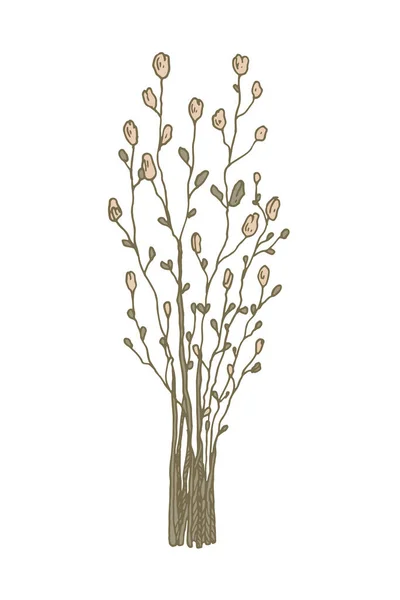 Met Hand Getrokken Bos Veldbloemen Geïsoleerd Wit Vector Illustratie Schets — Stockvector