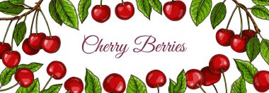 Renkli yatay kiraz tasarımı. Renkli çizim tarzında vektör illüstrasyonu