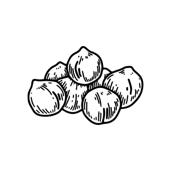Hand Drawn Handful Chickpeas Beans Botany Vector Illustration Sketch Style —  Vetores de Stock