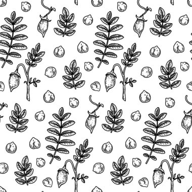 Hand drawn chickpeas seamless pattern. Vector illustration in sketch style