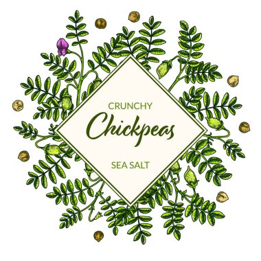 Colorful chickpeas frame. Hand drawn illustration in colored sketch style. Botany design for packaging, label, banner, logo