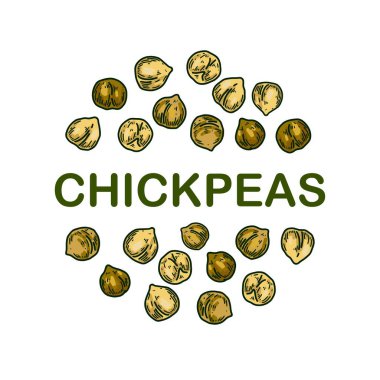 Colorful chickpeas design. Hand drawn illustration in colored sketch style. Botany design for packaging, label, banner, logo