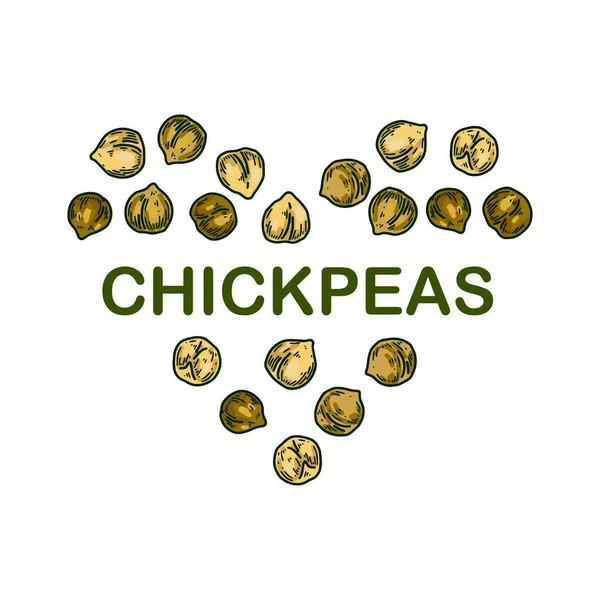 Colorful Chickpeas Design Hand Drawn Illustration Colored Sketch Style Botany — Image vectorielle