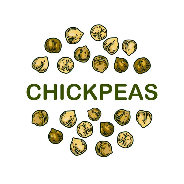 Colorful Chickpeas Design Hand Drawn Illustration Colored Sketch Style Botany — Vector de stock