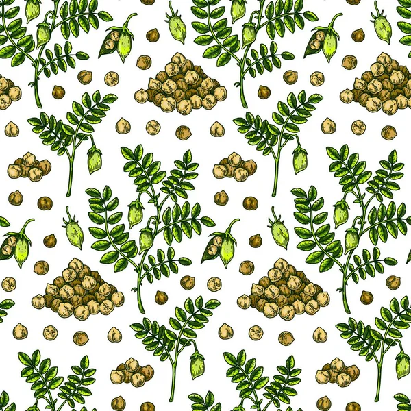 Hand Drawn Chickpeas Seamless Pattern Vector Illustration Colored Sketch Style — Vector de stock