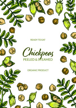 Colorful vertical chickpeas design. Hand drawn illustration in colored sketch style. Botany design for packaging, label, banner, poster