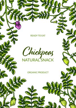 Colorful vertical chickpeas design. Hand drawn illustration in colored sketch style. Botany design for packaging, label, banner, poster