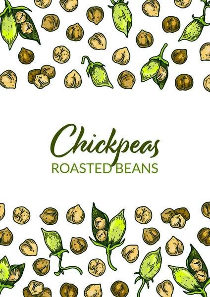 Colorful vertical chickpeas design. Hand drawn illustration in colored sketch style. Botany design for packaging, label, banner, poster