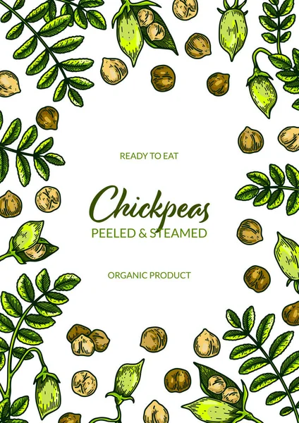 Colorful Vertical Chickpeas Design Hand Drawn Illustration Colored Sketch Style — Vector de stock