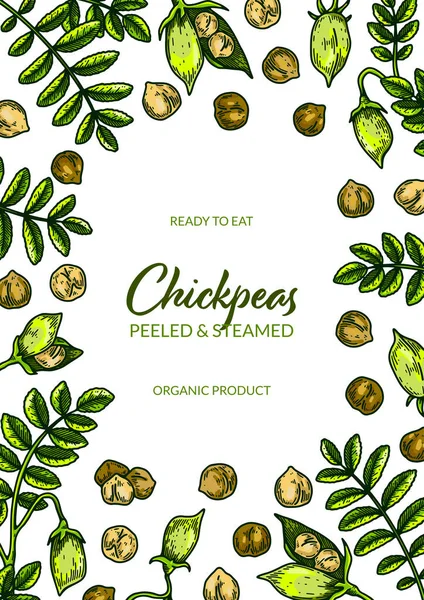 Colorful vertical chickpeas design. Hand drawn illustration in colored sketch style. Botany design for packaging, label, banner, poster