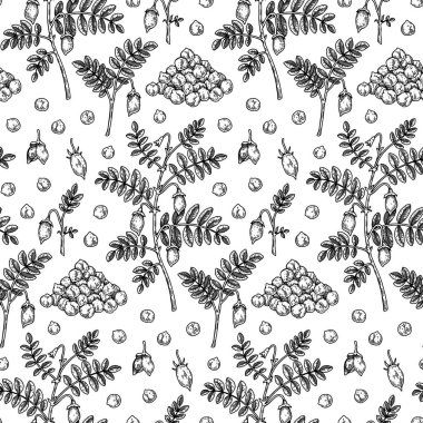 Hand drawn chickpeas seamless pattern. Vector illustration in sketch style