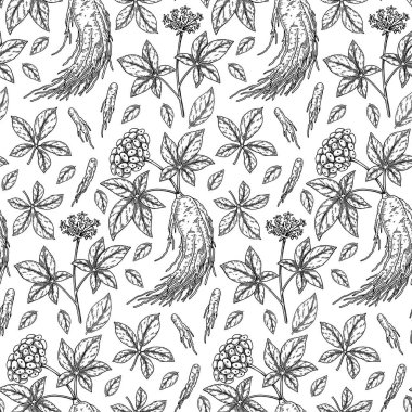 El yapımı ginseng pürüzsüz desen. Robot resim tarzında vektör illüstrasyonu. Tıbbi bitki geçmişi. Botanik tasarımı