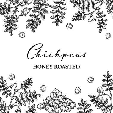 El yapımı nohut botanik geçmişi. Robot resim tarzında vektör illüstrasyonu. Paket tasarımı