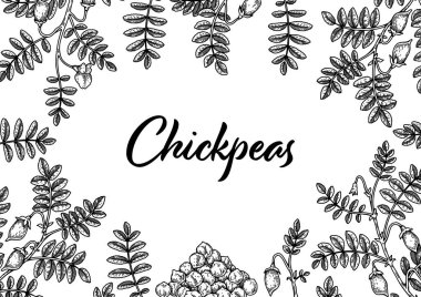 El yapımı nohut botanik geçmişi. Robot resim tarzında vektör illüstrasyonu. Paket tasarımı