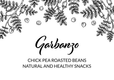 El yapımı nohut botanik geçmişi. Robot resim tarzında vektör illüstrasyonu. Paket tasarımı