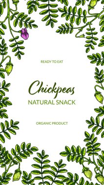 Colorful vertical chickpeas design. Hand drawn illustration in colored sketch style. Botany design for packaging, label, banner, poster