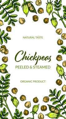 Colorful vertical chickpeas design. Hand drawn illustration in colored sketch style. Botany design for packaging, label, banner, poster