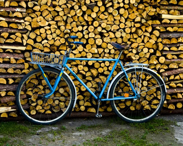 Hout en fiets — Stockfoto