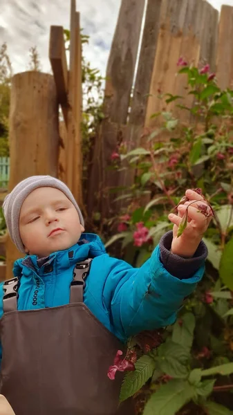 Een jongen in de herfst in het park bewondert de bladeren en bloemen — Stockfoto