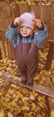 Yağmurlu havalar için lastik pantolonlu bir çocuk sonbaharda parkta yapraklar ve meyveler gösterir.