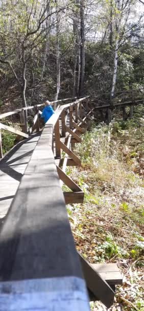 Un niño pequeño camina por el parque con su padre. Reserva, sendero ecológico. Día soleado. — Vídeos de Stock