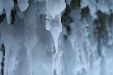 Rozdestun kartpostalının arka planı. Buz saçakları. Buz. Buz. Kış. Doğa.