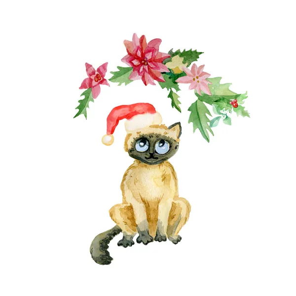 Natal aquarela bonito fofo gatinho em boné vermelho isolado em um fundo branco — Fotografia de Stock