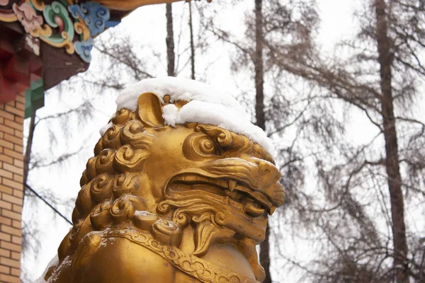Tibetan temple sculpture. Buddhism. Religion. Golden Lion — Zdjęcie stockowe